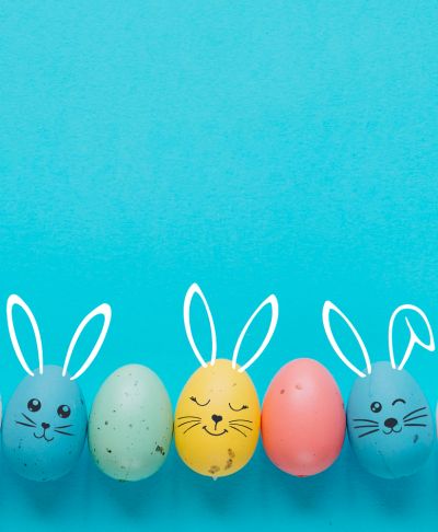 GEMEENTEBESTUUR KNOKKE-HEIST