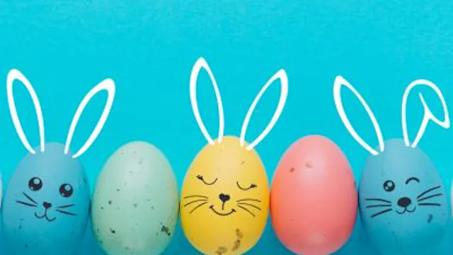 GEMEENTEBESTUUR KNOKKE-HEIST