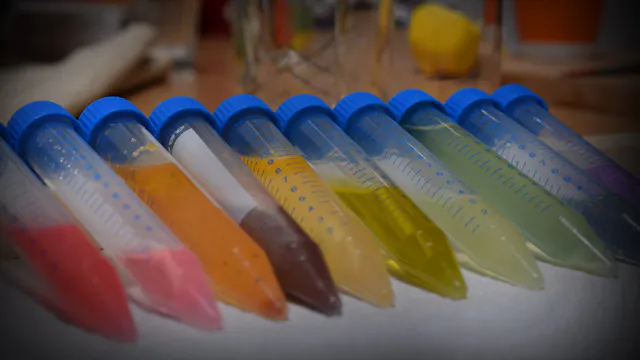 The Poison - interactieve escape game op locatie