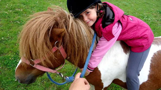 Activak jeugdvakanties – Pony-meidenkamp