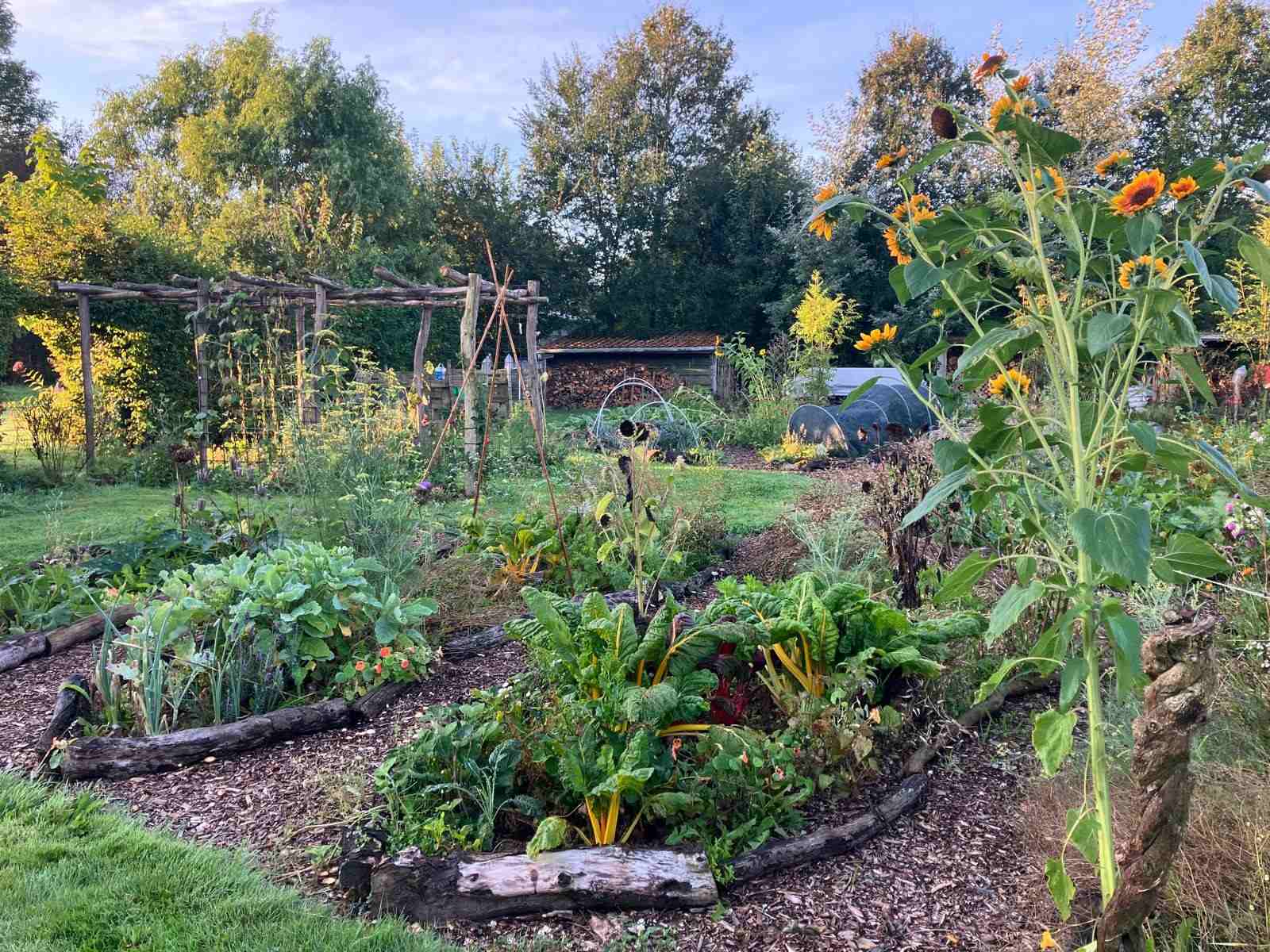 Voedselbos 't Wijland