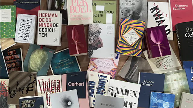 Masterclass poëzie en poëtica: Het beeld en betekenis