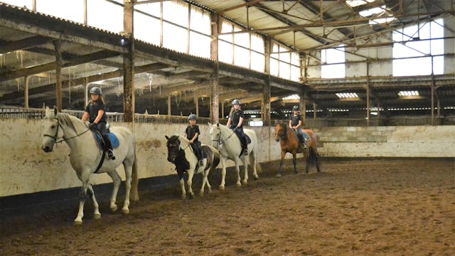 sportkamp paardrijden