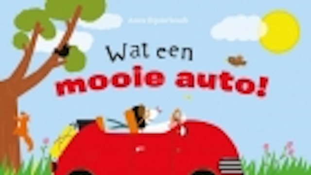 Wat een mooie auto