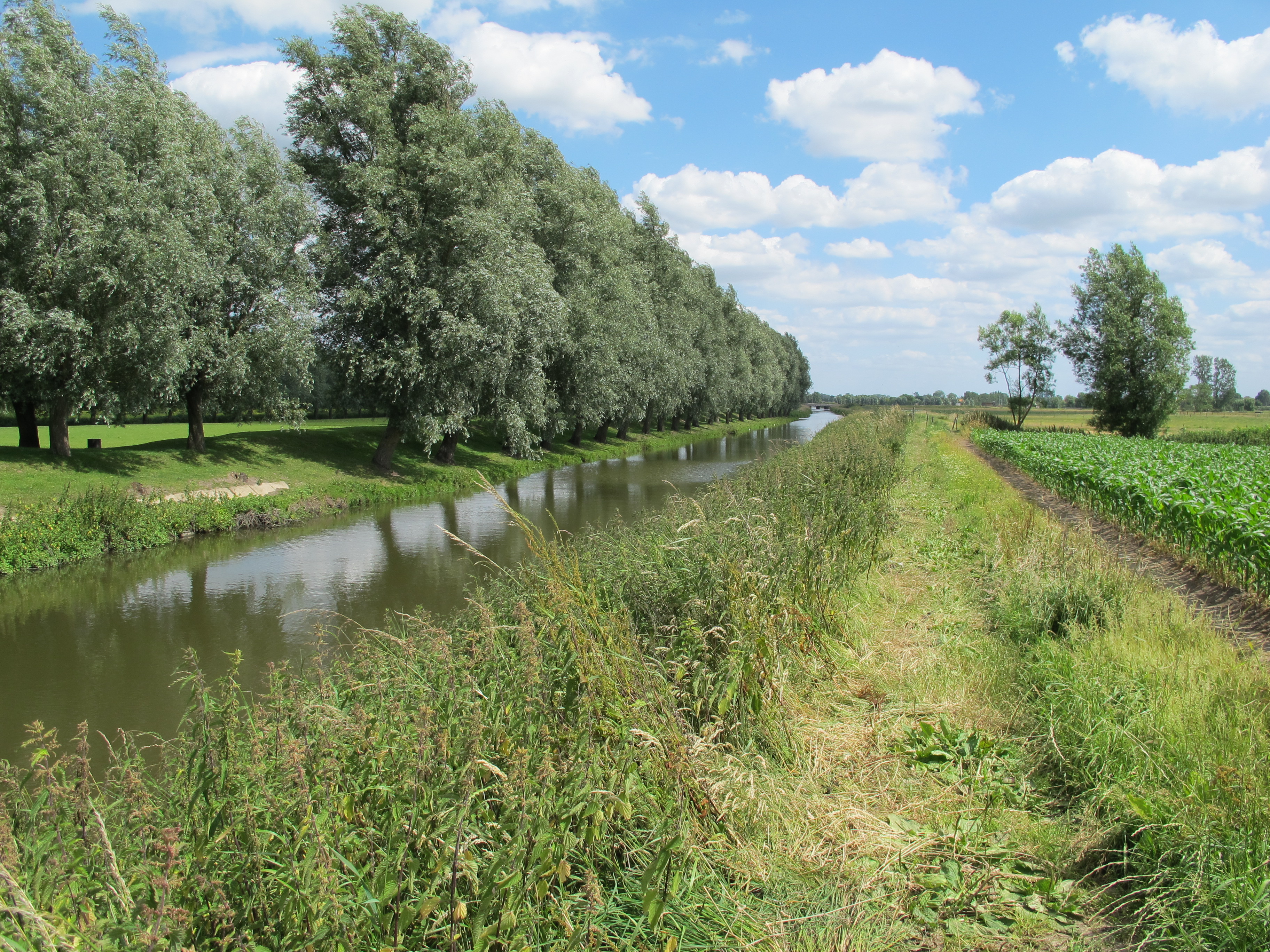 Natuurgebied De Handzamevallei