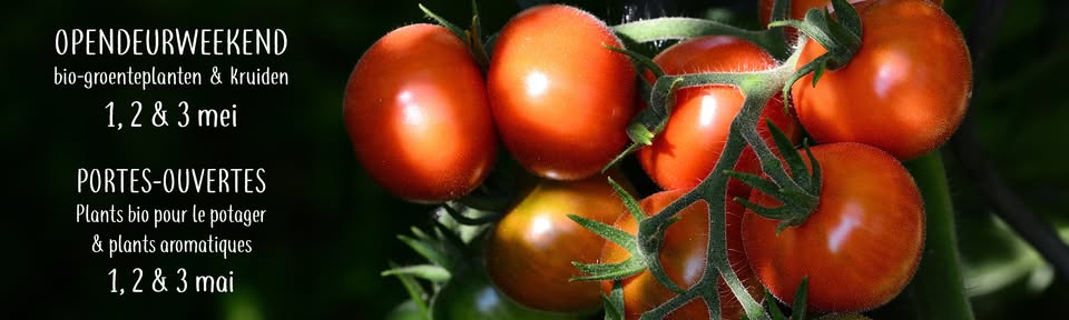 1, 2 & 3 mei: Opendeurweekend "Bio-groenteplanten en kruiden"