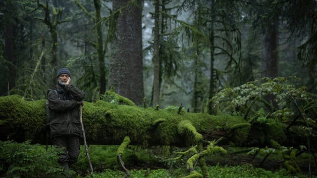 Le Chant des Forêts