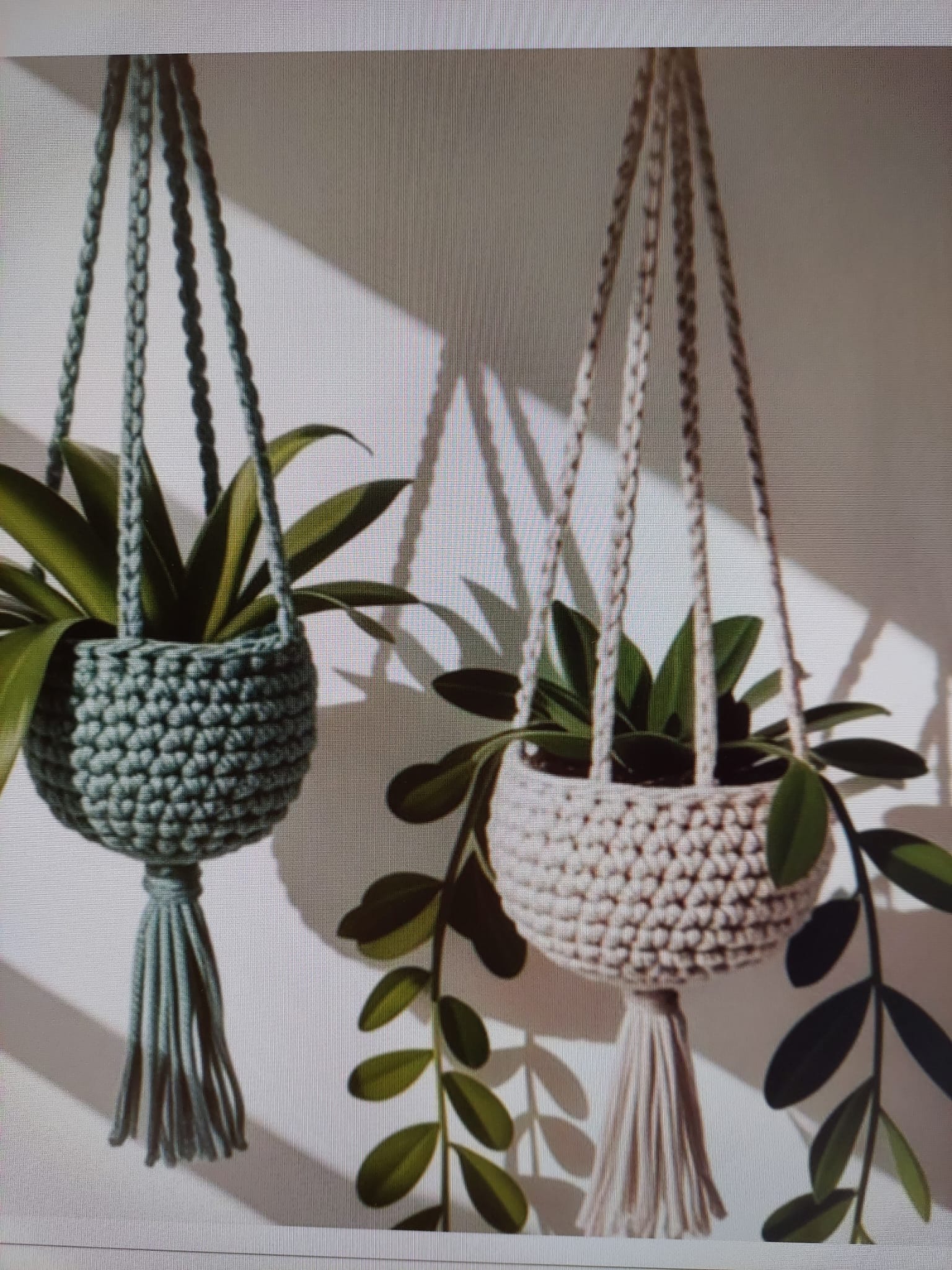 Image for gzbd activity