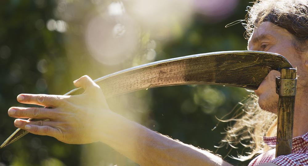 Resilience - Tomá Elík