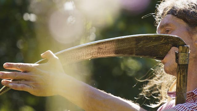 Resilience - Tomá Elík