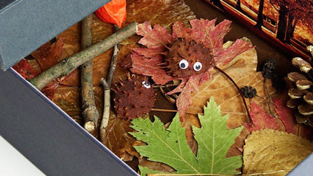 natuurlijk natuurlijk kaboutertjeswereld the hedge vilvoorde huisvandeMens