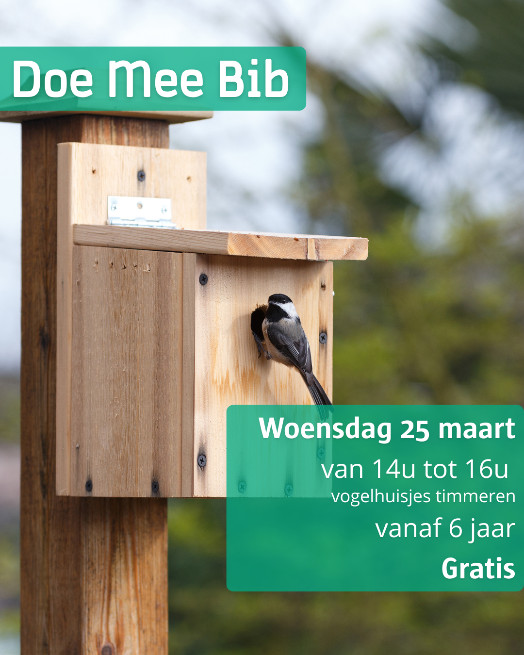 Doe Mee Bib: vogelhuisjes bouwen 