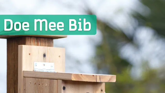Doe Mee Bib: vogelhuisjes bouwen