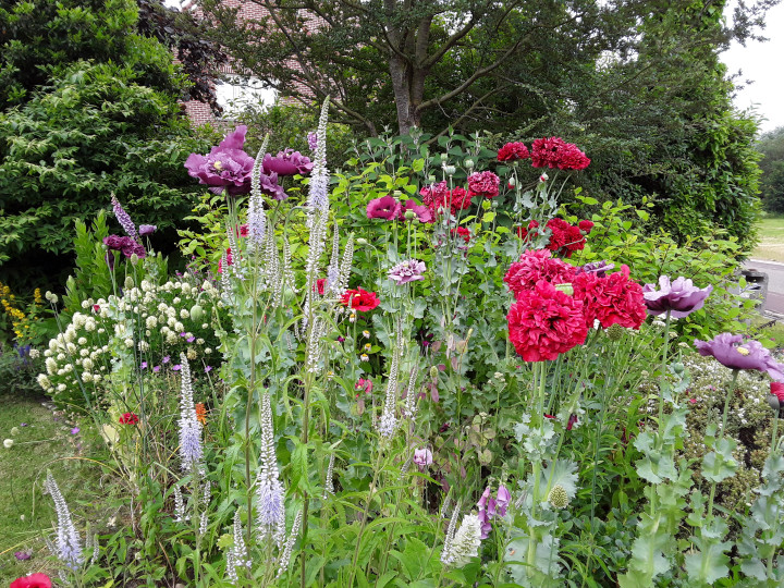 Tuin Danny Putzeys-Janssens
