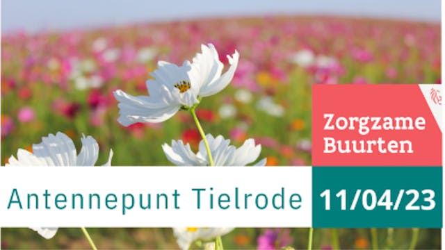 bloemetjes