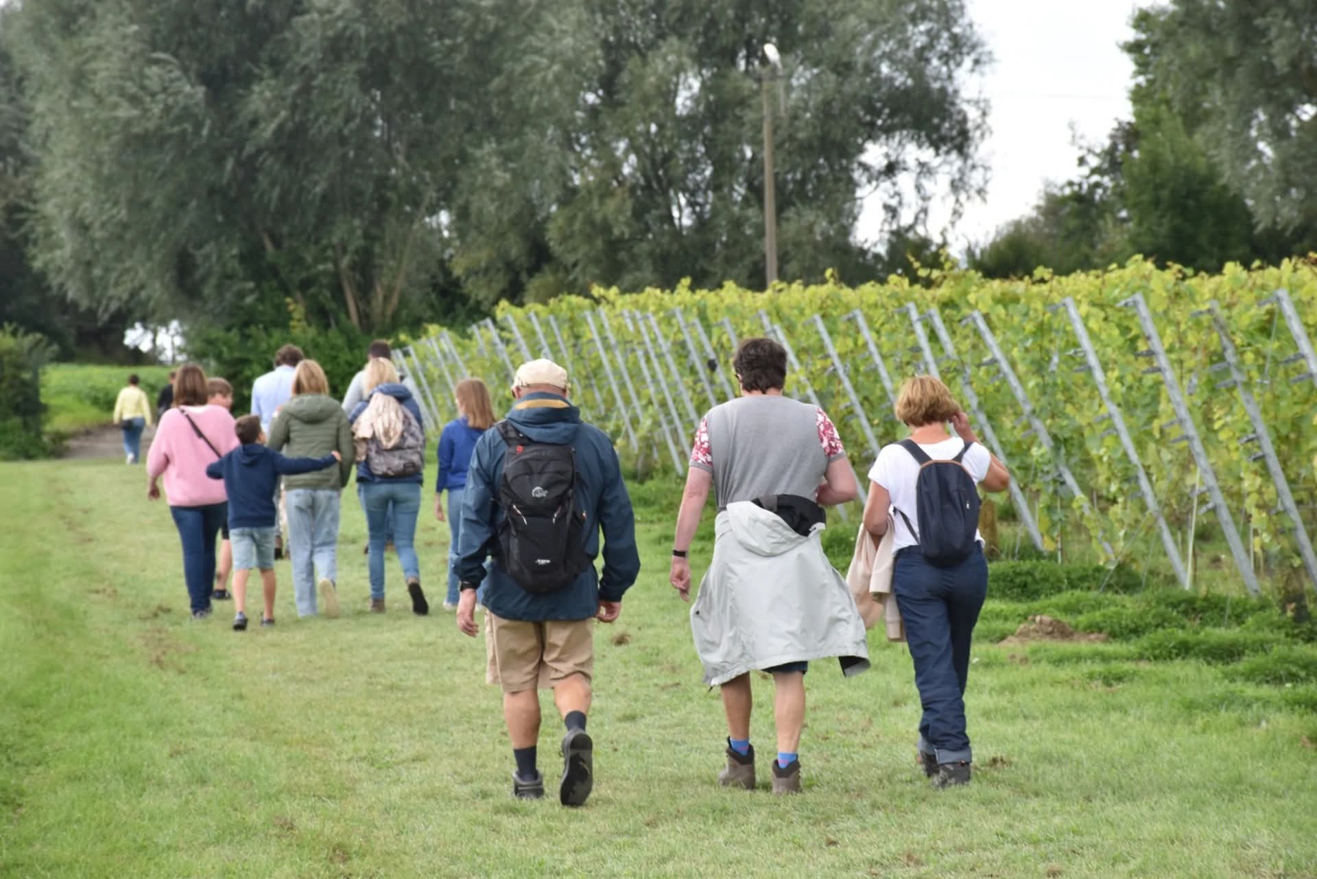 Winetrail Ravenstein