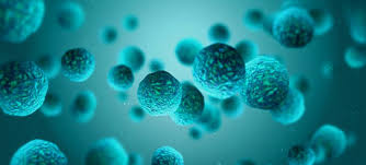 Efficiënte micro-organismen