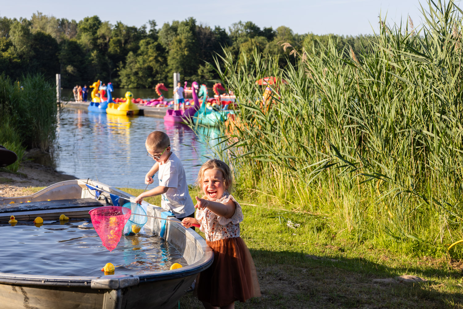 Midzomer in provinciaal domein De Gavers in Geraardsbergen