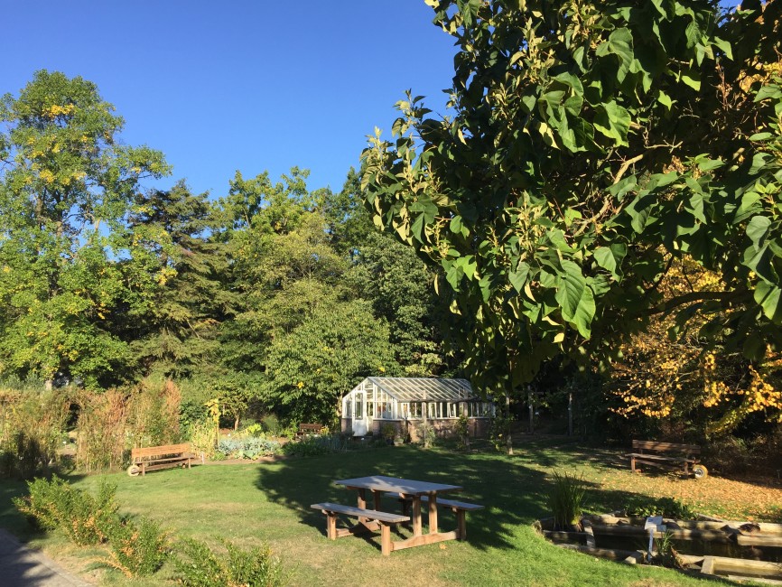 Zicht op de kleine serre in de Plantentuin.