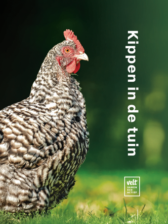 Kippen houden met Johan Deblaere