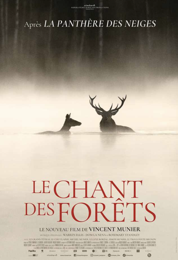 Le chant des forets
