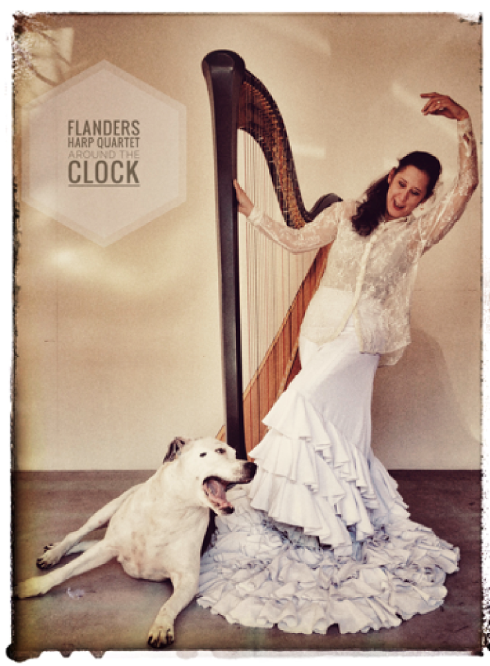 Flamenco en harp