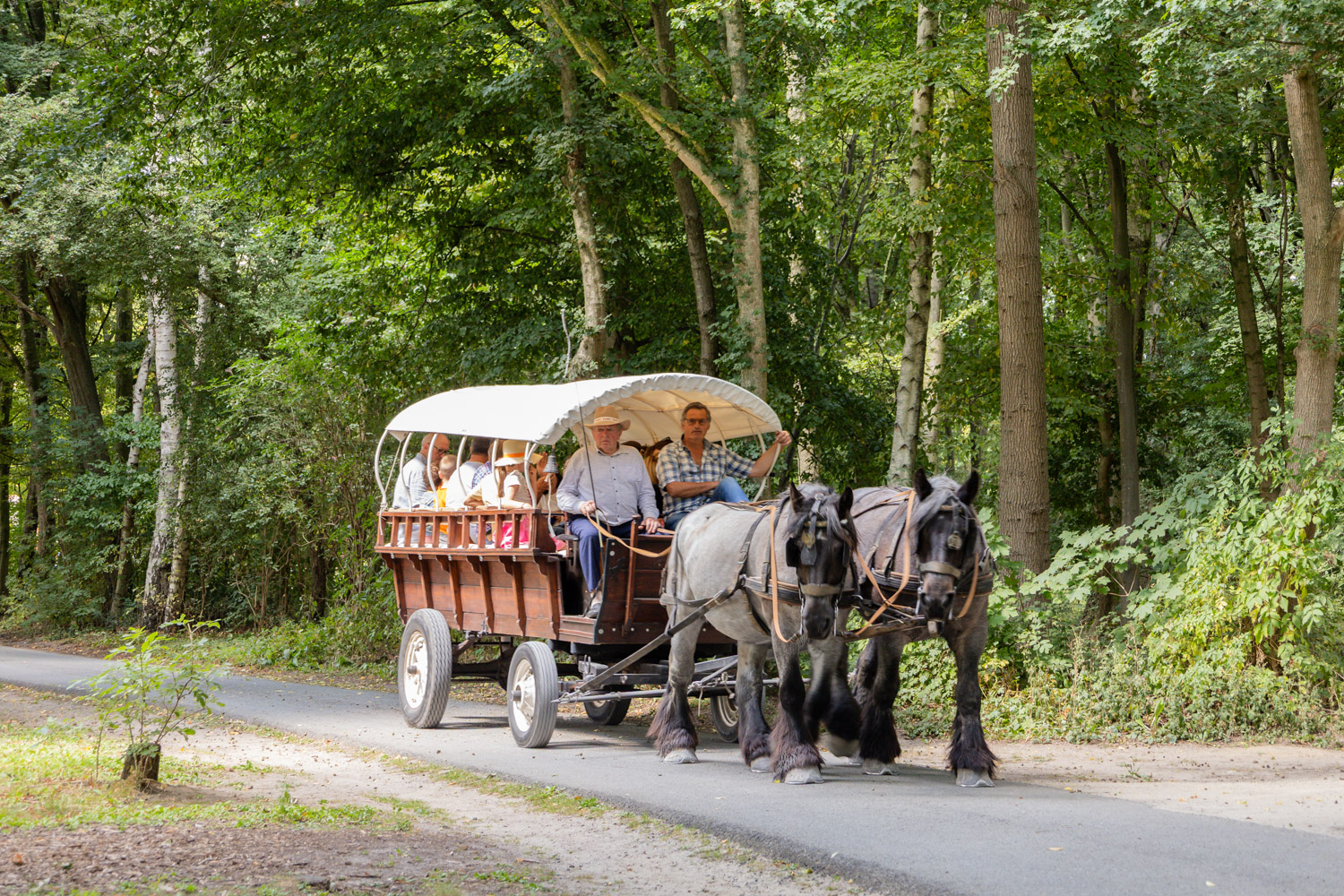 250815-De Brielmeersen Feest-12.jpg
