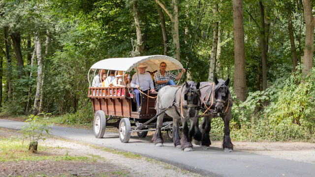 250815-De Brielmeersen Feest-12.jpg