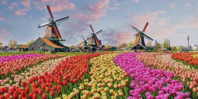 Image for gzbd activity