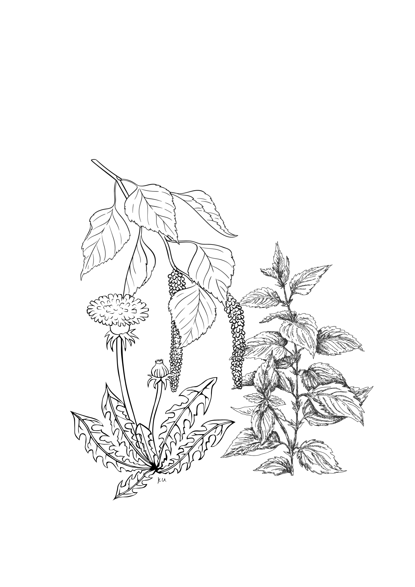 Lentedetox met wilde planten