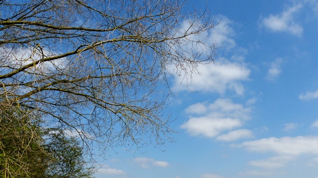 Walterpad-wandeling