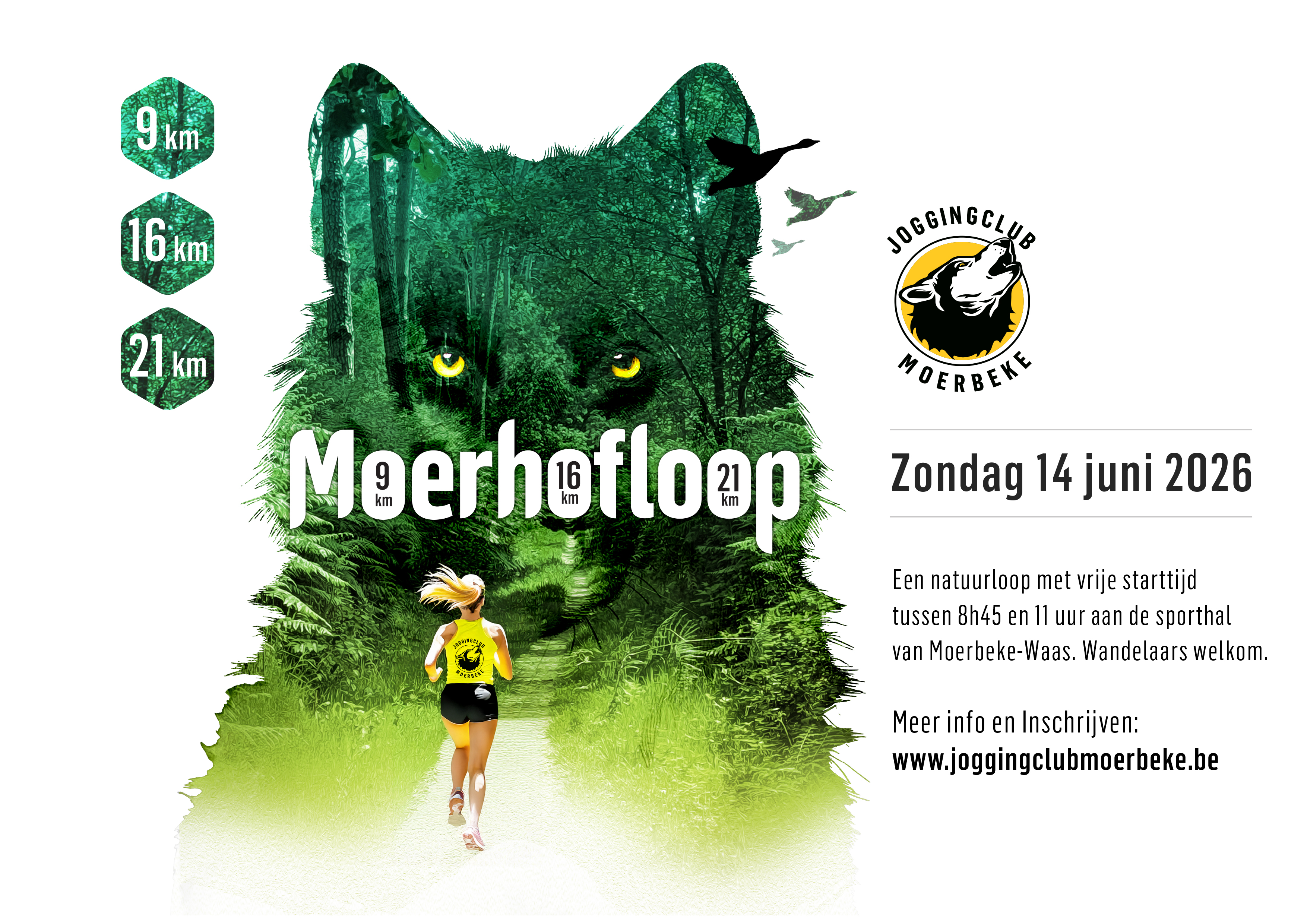 Flyer Moerhofloop