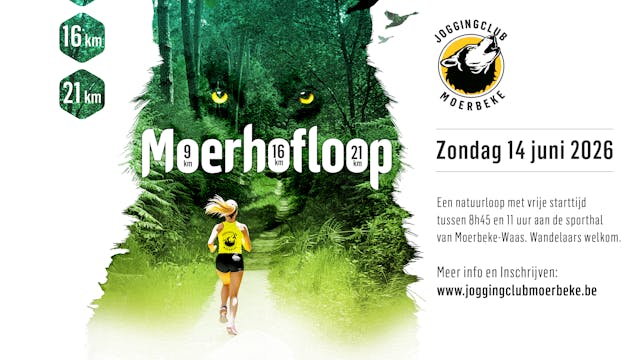 Flyer Moerhofloop
