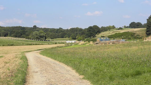 koeheide