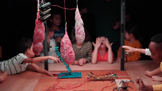 Simple Machines - Ugo Dehaes / kwaad bloed & Tuning People