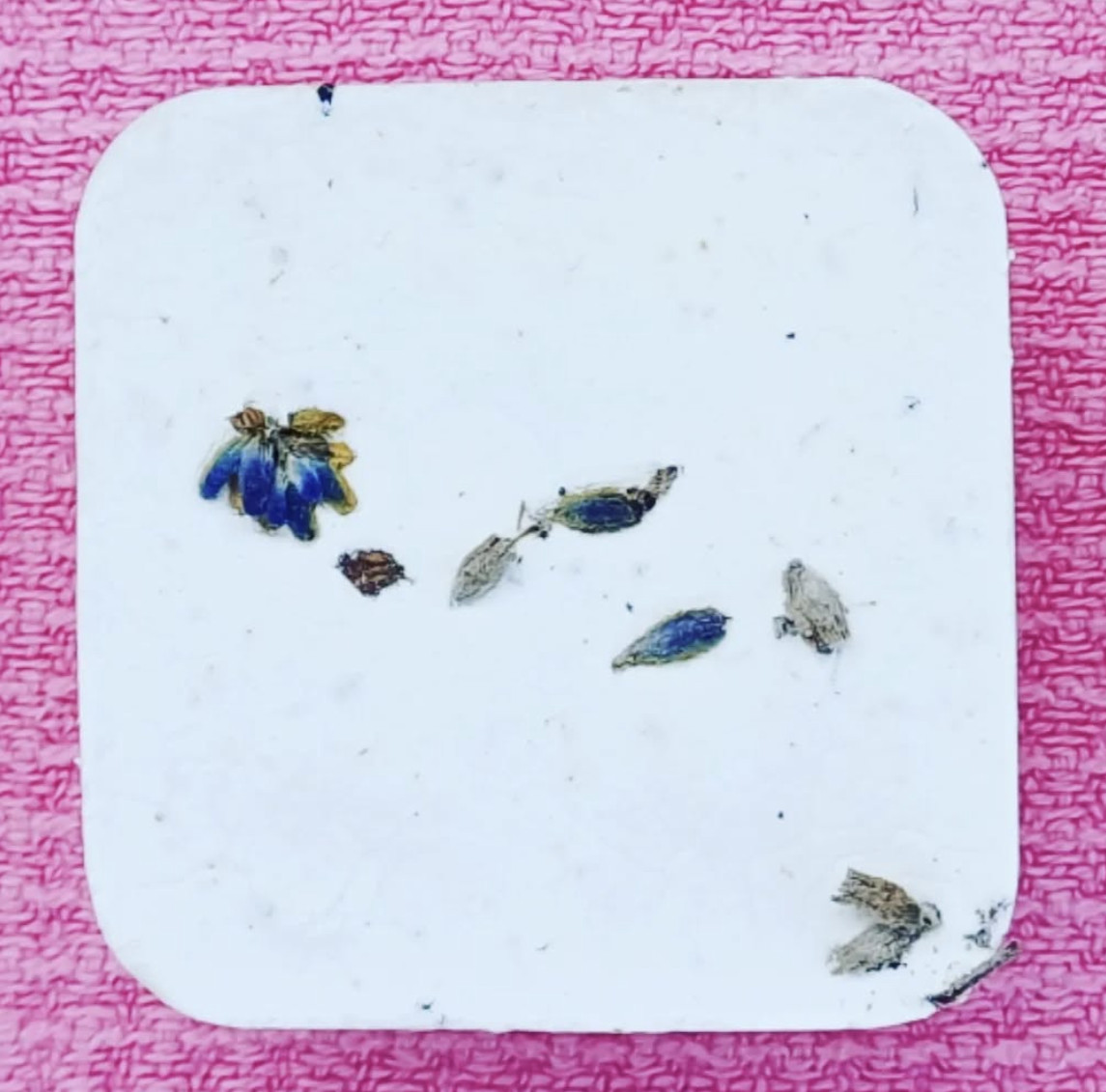 Schermafbeelding 2025-10-22 om 10.10.03