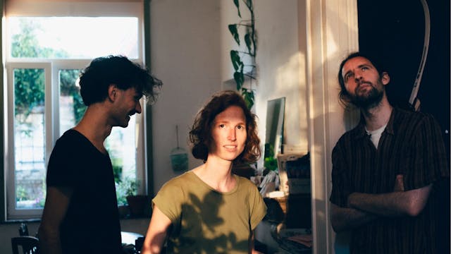 Foyer Matinee: volpe