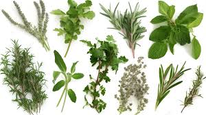 Image for gzbd activity