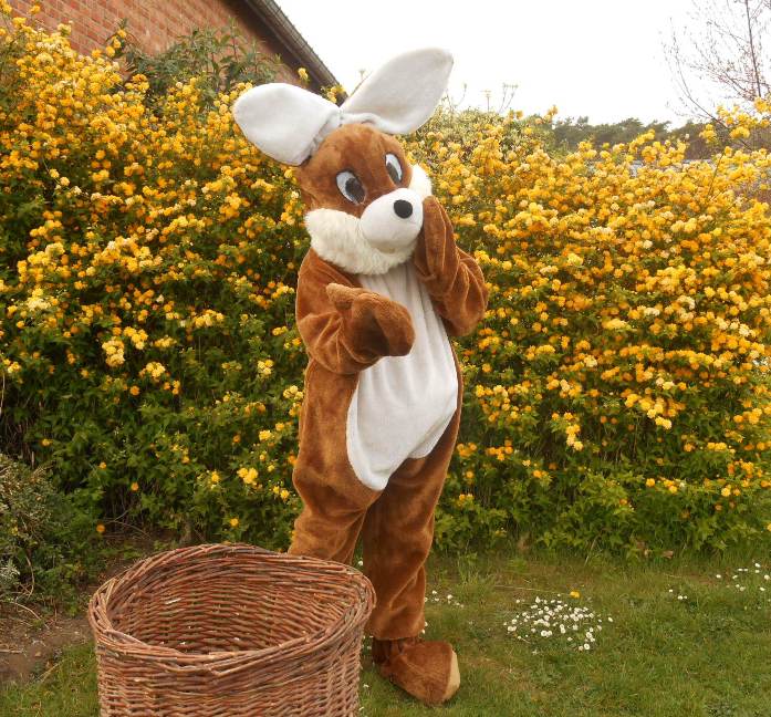 Image for gzbd activity