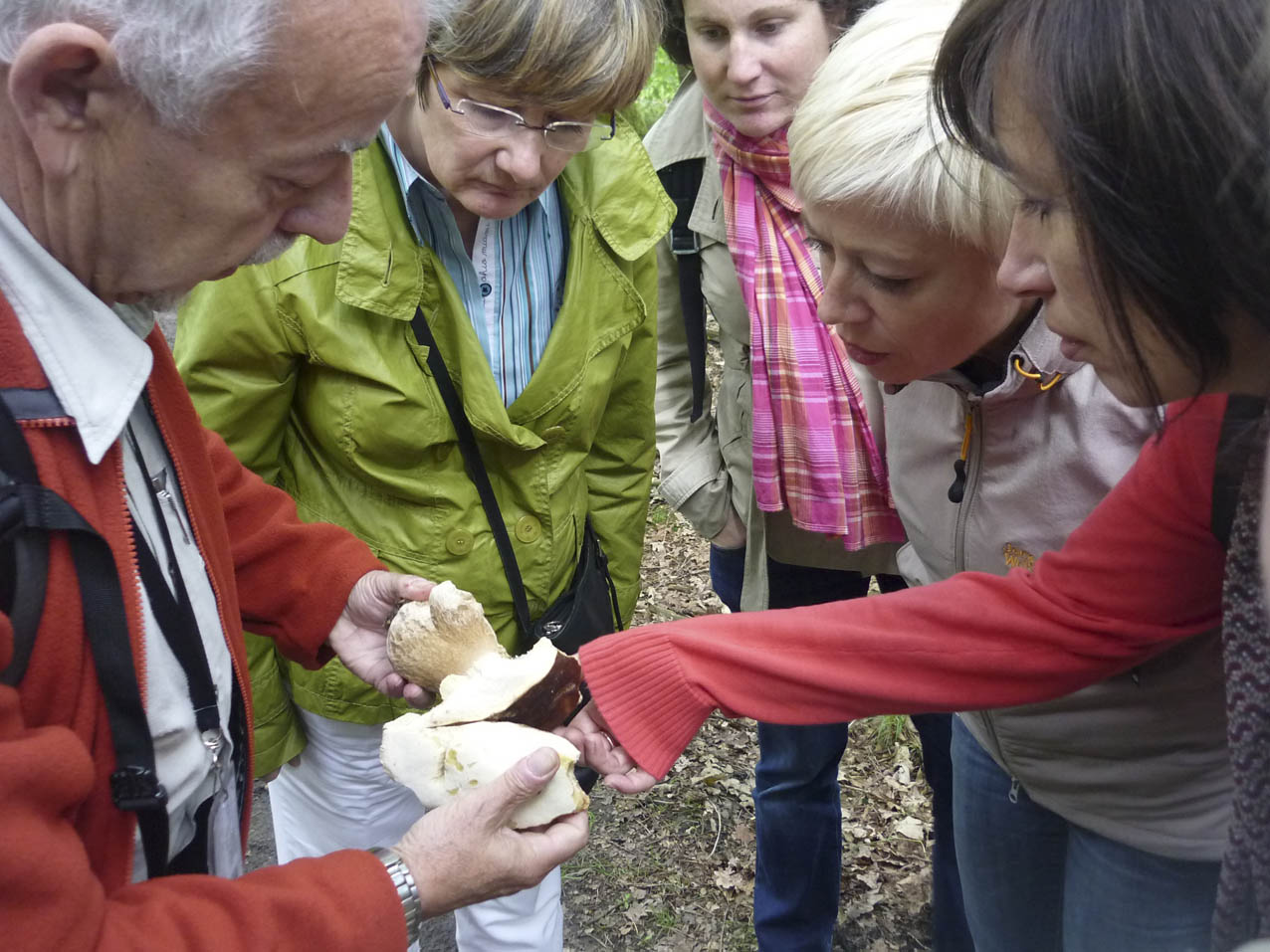 De herfst in geuren en kleuren