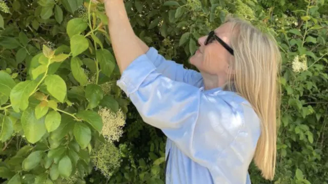 Schermafbeelding 2025-12-10 om 11.57