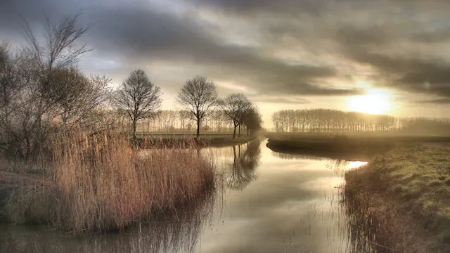 polder Sint-Gillis-waas