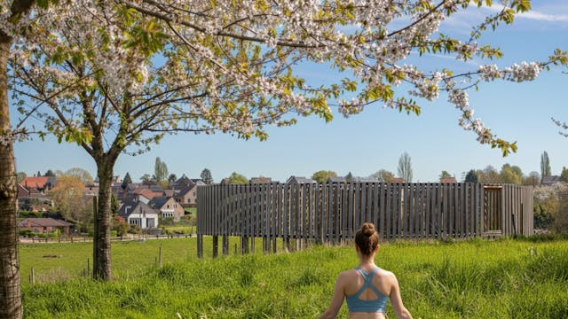 Ontspannen tussen kunst en erfgoed