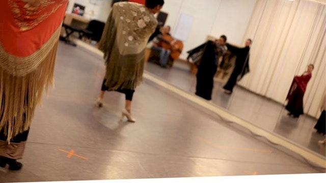 flamenco_3_danshuis_de_ingang.jpg