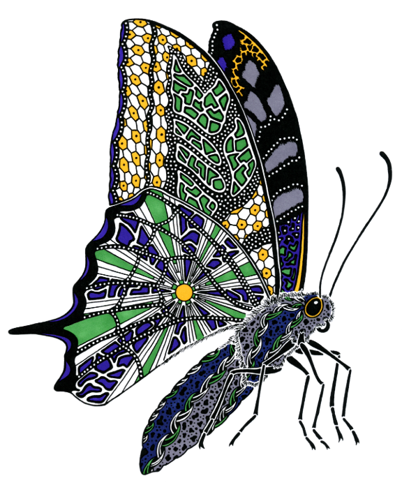 Koninginnepage van Pol Cosmo