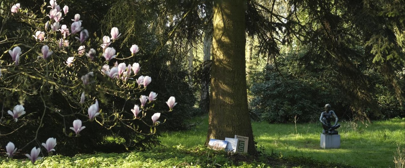 Boekenjagen in het museum