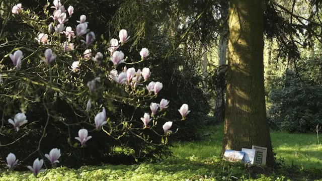 Boekenjagen in het museum