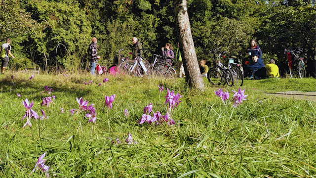 fietsen in het groen