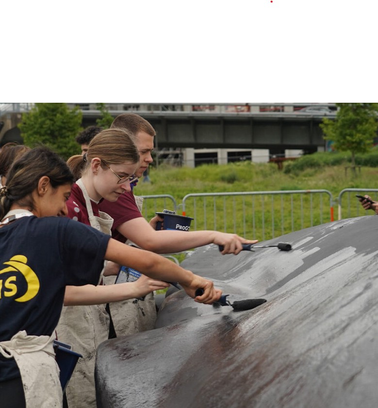 schilderen van de walvis