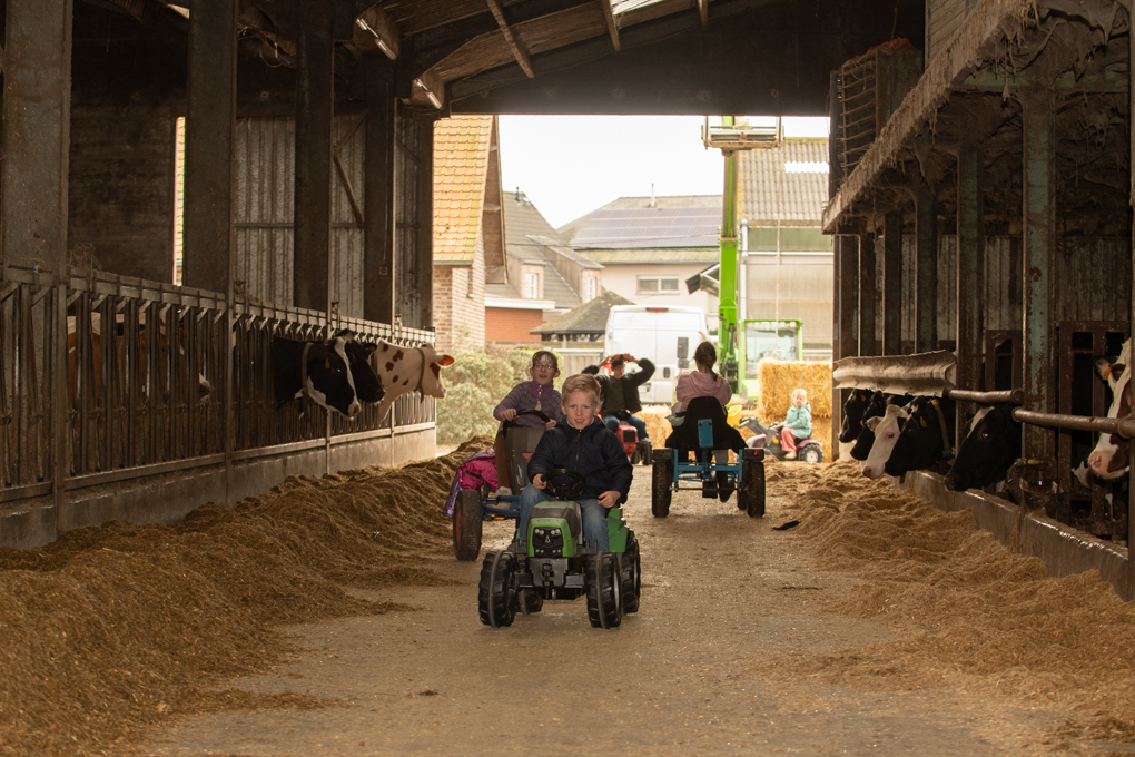 opening Buffie's Farm bezoek en beleefboerderij met bloemenpluktuin en pôp-up bar in het groen